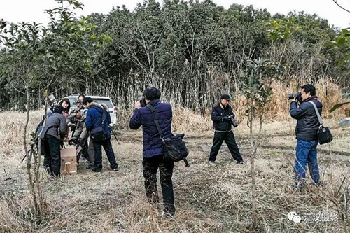 8040威尼斯,湖南野活泼物追踪,湖南卫星追踪器,湖南追踪器