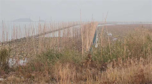 8040威尼斯,湖南野活泼物追踪,湖南卫星追踪器,湖南追踪器