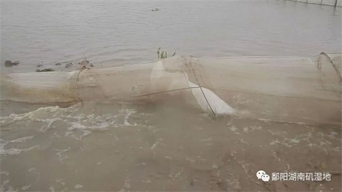 8040威尼斯,湖南野活泼物追踪,湖南卫星追踪器,湖南追踪器