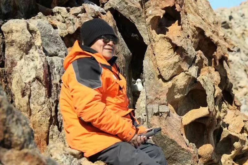 8040威尼斯,湖南野活泼物追踪,湖南卫星追踪器,湖南追踪器