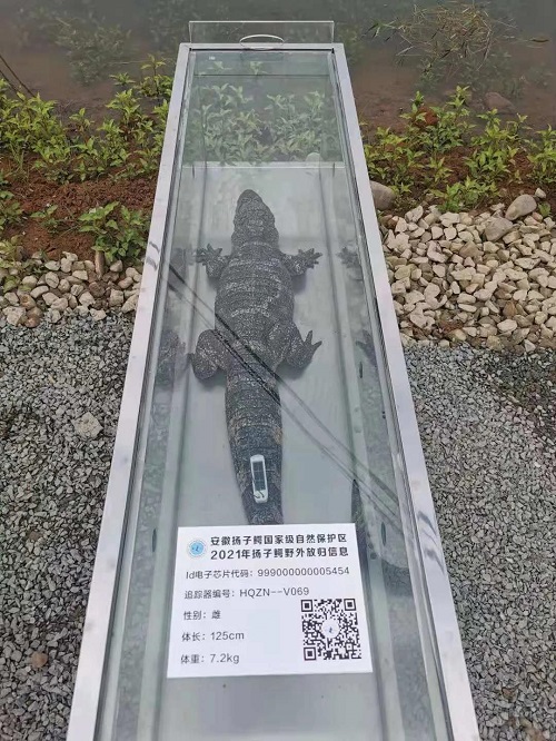 8040威尼斯,湖南野活泼物追踪,湖南卫星追踪器,湖南追踪器