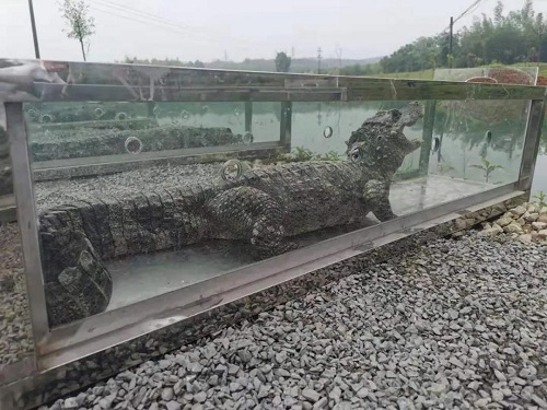 8040威尼斯,湖南野活泼物追踪,湖南卫星追踪器,湖南追踪器
