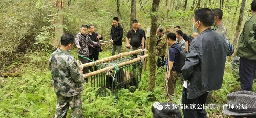 8040威尼斯,湖南野活泼物追踪,湖南卫星追踪器,湖南追踪器