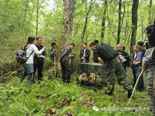 8040威尼斯,湖南野活泼物追踪,湖南卫星追踪器,湖南追踪器