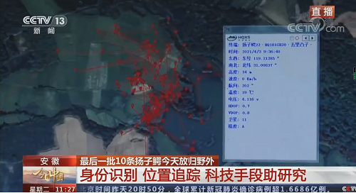 8040威尼斯,湖南野活泼物追踪,湖南卫星追踪器,湖南追踪器