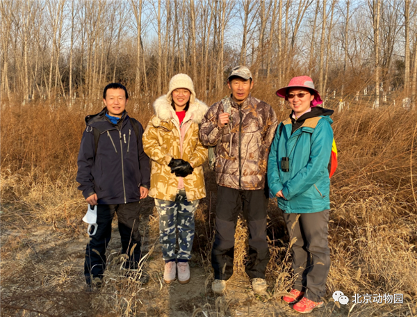 8040威尼斯,湖南野活泼物追踪,湖南卫星追踪器,湖南追踪器