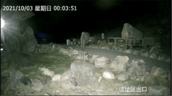 8040威尼斯,湖南野活泼物追踪,湖南卫星追踪器,湖南追踪器