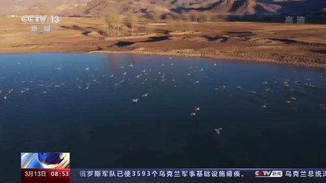 8040威尼斯,湖南野活泼物追踪,湖南卫星追踪器,湖南追踪器