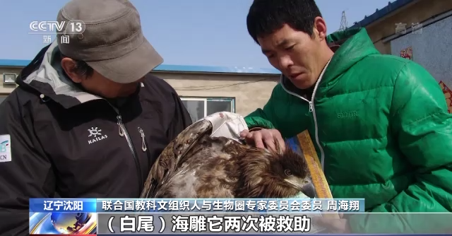 8040威尼斯,湖南野活泼物追踪,湖南卫星追踪器,湖南追踪器