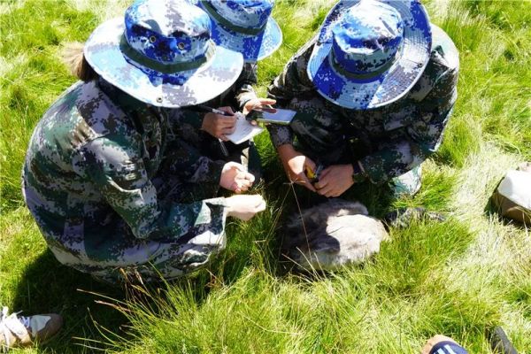 8040威尼斯,湖南野活泼物追踪,湖南卫星追踪器,湖南追踪器