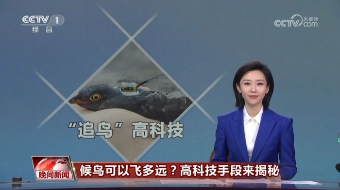 8040威尼斯,湖南野活泼物追踪,湖南卫星追踪器,湖南追踪器