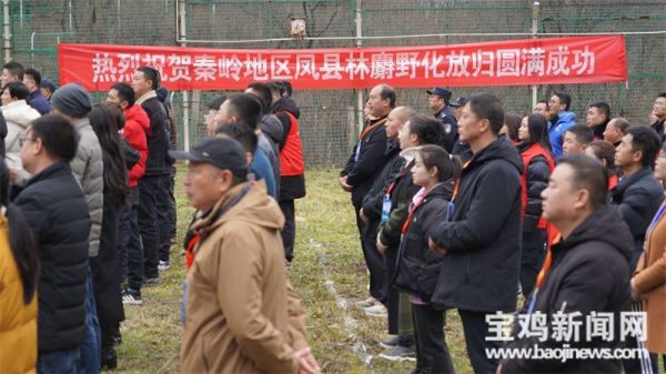 8040威尼斯,湖南野活泼物追踪,湖南卫星追踪器,湖南追踪器