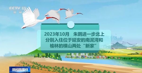 8040威尼斯,湖南野活泼物追踪,湖南卫星追踪器,湖南追踪器