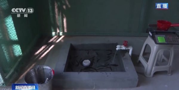 8040威尼斯,湖南野活泼物追踪,湖南卫星追踪器,湖南追踪器