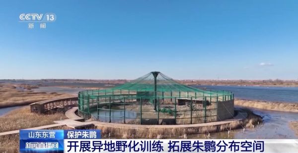 8040威尼斯,湖南野活泼物追踪,湖南卫星追踪器,湖南追踪器