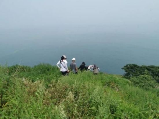 8040威尼斯,湖南野活泼物追踪,湖南卫星追踪器,湖南追踪器