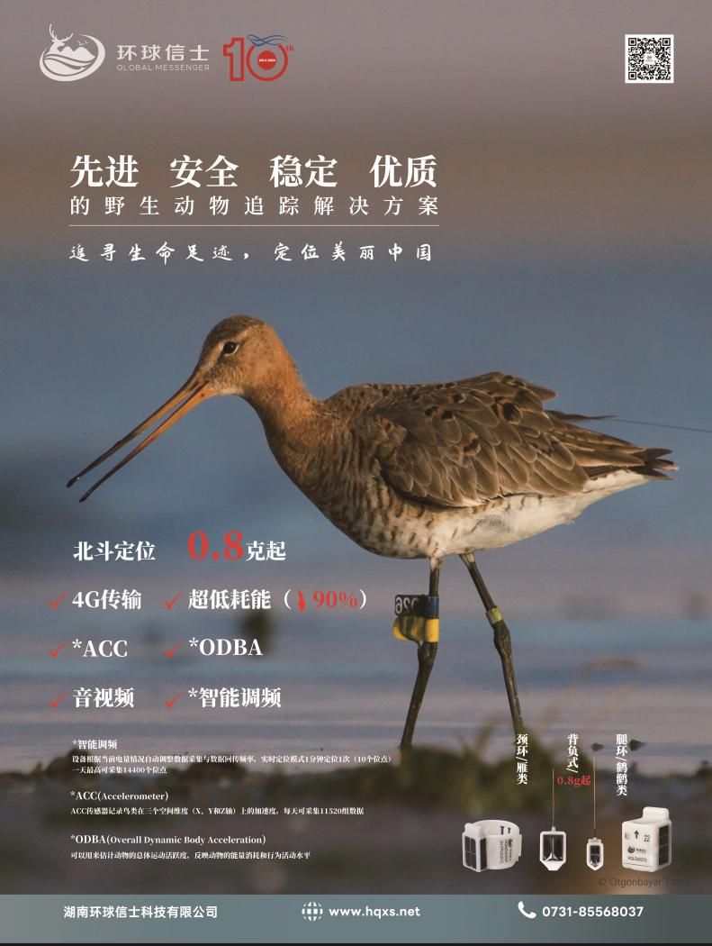 8040威尼斯,湖南野活泼物追踪,湖南卫星追踪器,湖南追踪器