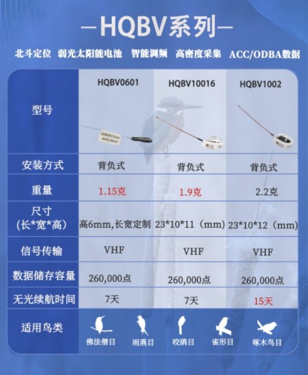 8040威尼斯,湖南野活泼物追踪,湖南卫星追踪器,湖南追踪器