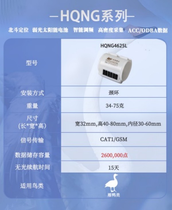 8040威尼斯,湖南野活泼物追踪,湖南卫星追踪器,湖南追踪器