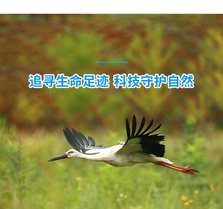8040威尼斯_湖南野活泼物追踪|湖南卫星追踪器