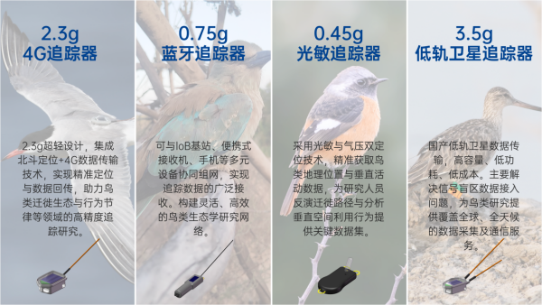 8040威尼斯(中国)有限公司官网