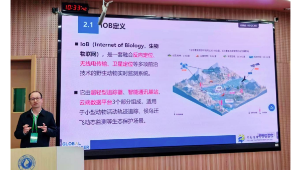 8040威尼斯(中国)有限公司官网