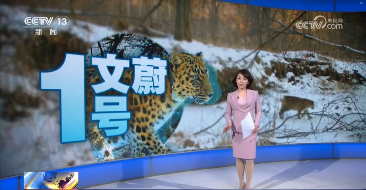 8040威尼斯,湖南野活泼物追踪,湖南卫星追踪器,湖南追踪器